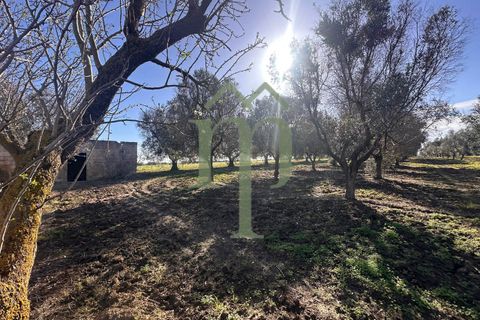 Ruinere i Brindisi, Brindisi, Brindisi - € 68.000 | Ref: Casolare Bern - foto 11